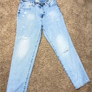 Pistola Light Blue Boyfriend Jeans